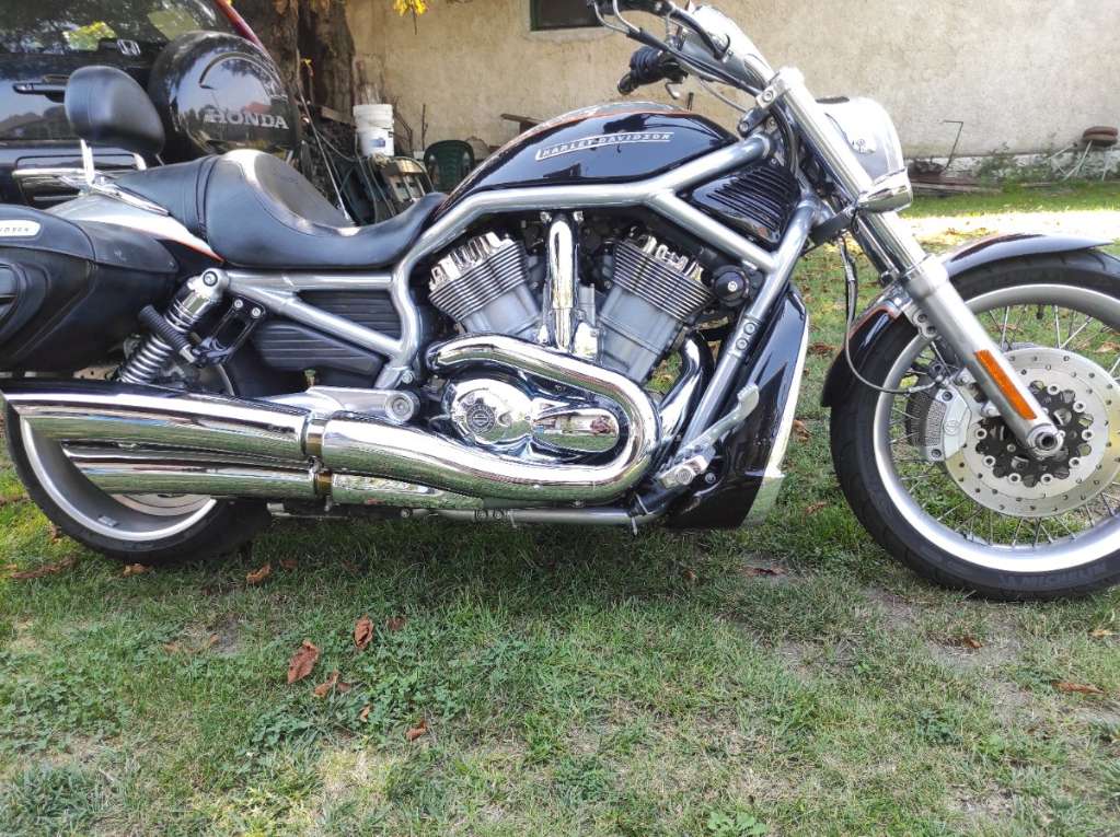 Harley Davidson V Rod Chopper Cruiser Willhaben