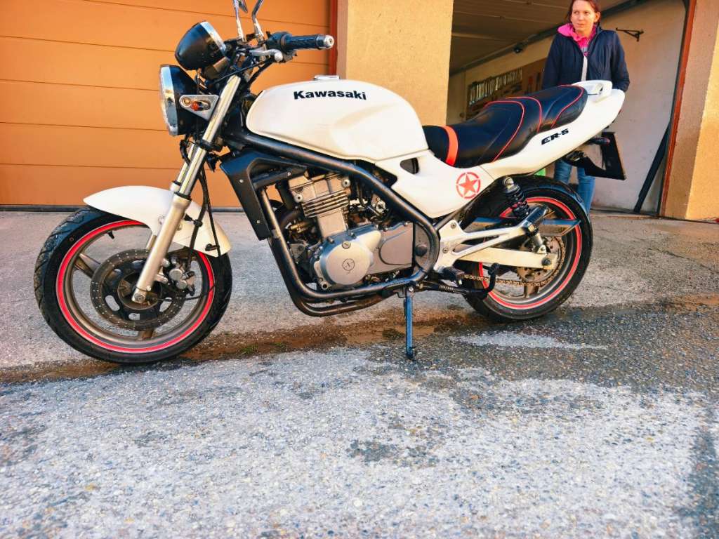 Kawasaki ER 500 Naked Bike Willhaben