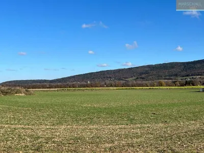 Immobilie kaufen in Wiener Neustadt Land – 10 000 m², € 1.395.000 – Bild 3 von 6
