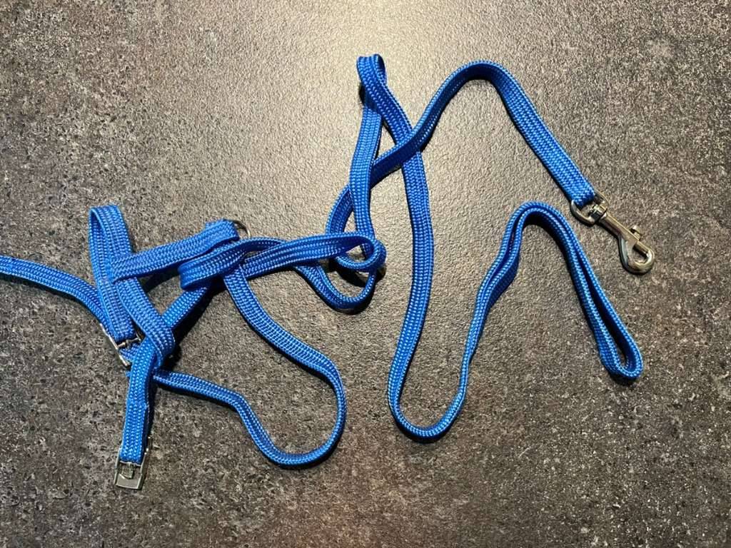 Halsband Leine Geschirr fr Kitten Katzen,  2,- (1050 Wien) - willhaben