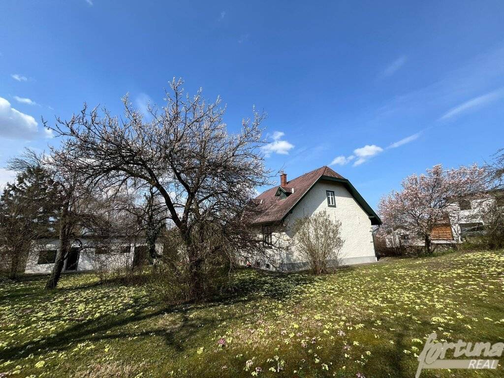 Großes Baugrundstück (2.076 m²) mit Fernblick - Bestand zum Abbruch - ruhige Lage Mattersburg - Ansicht 2
