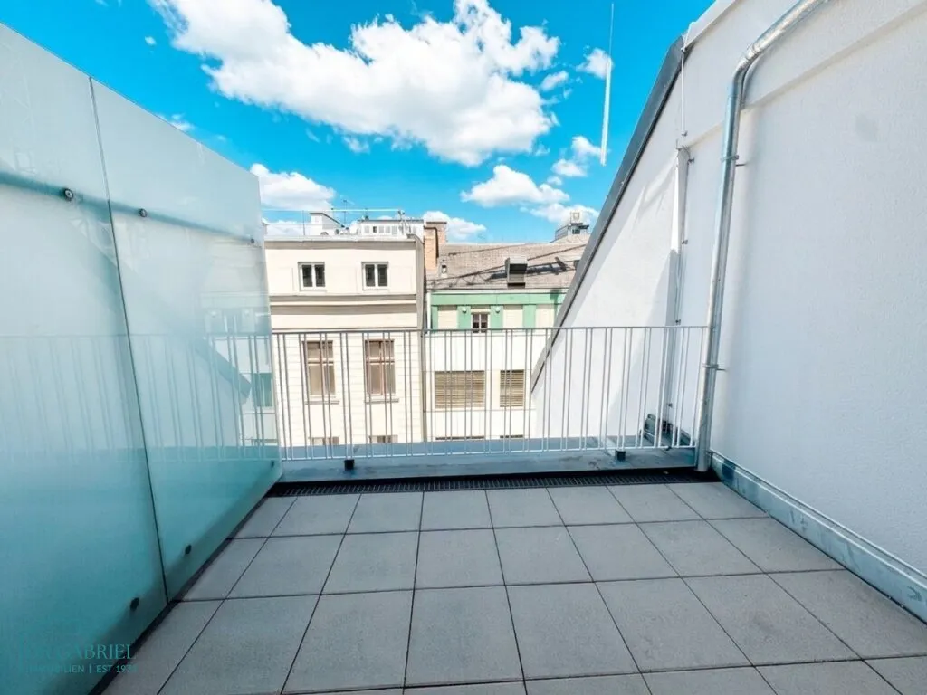 CITY-WOHNUNG - 1 ZIMMER - MIT TERRASSE BEIM STEPHANSPLATZ - Widok 3