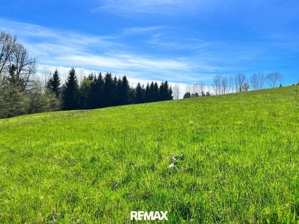 SOMMERAKTION: Baugenehmigung bereits erfolgt, 629 m² sonniges Grundstück! - Ansicht 2