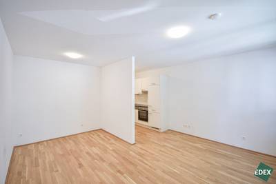 Moderne 1,5-Zimmer Wohnung mit großer Terrasse