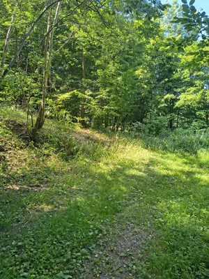 Grundstück kaufen in Krems Land – 13 729 m², € 45.000 – Bild 4 von 11