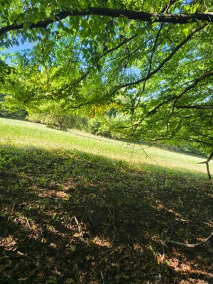 Grundstück kaufen in Krems Land – 13 729 m², € 45.000 – Bild 7 von 11