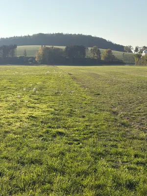 Immobilie mieten in Sankt Pölten – 99 m², € 1.305 – Bild 4 von 15