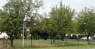 Grundstück kaufen in Jennersdorf – 754 m², € 25.000 – Bild 3 von 4