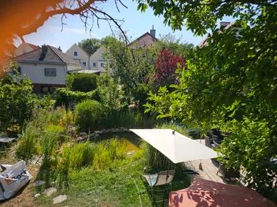 Wohnung mieten in Wien – 15 m², € 550 – Bild 2 von 8