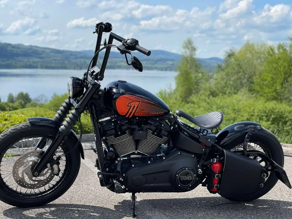 Harley-Davidson Softail