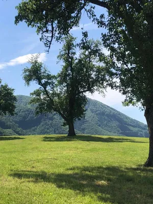 Immobilie kaufen in Steyr-Land – 400 m², € 5.000.000 – Bild 8 von 27