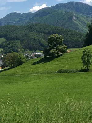 Immobilie kaufen in Steyr-Land – 400 m², € 5.000.000 – Bild 24 von 27