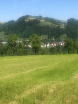 Immobilie kaufen in Steyr-Land – 400 m², € 5.000.000 – Bild 20 von 27