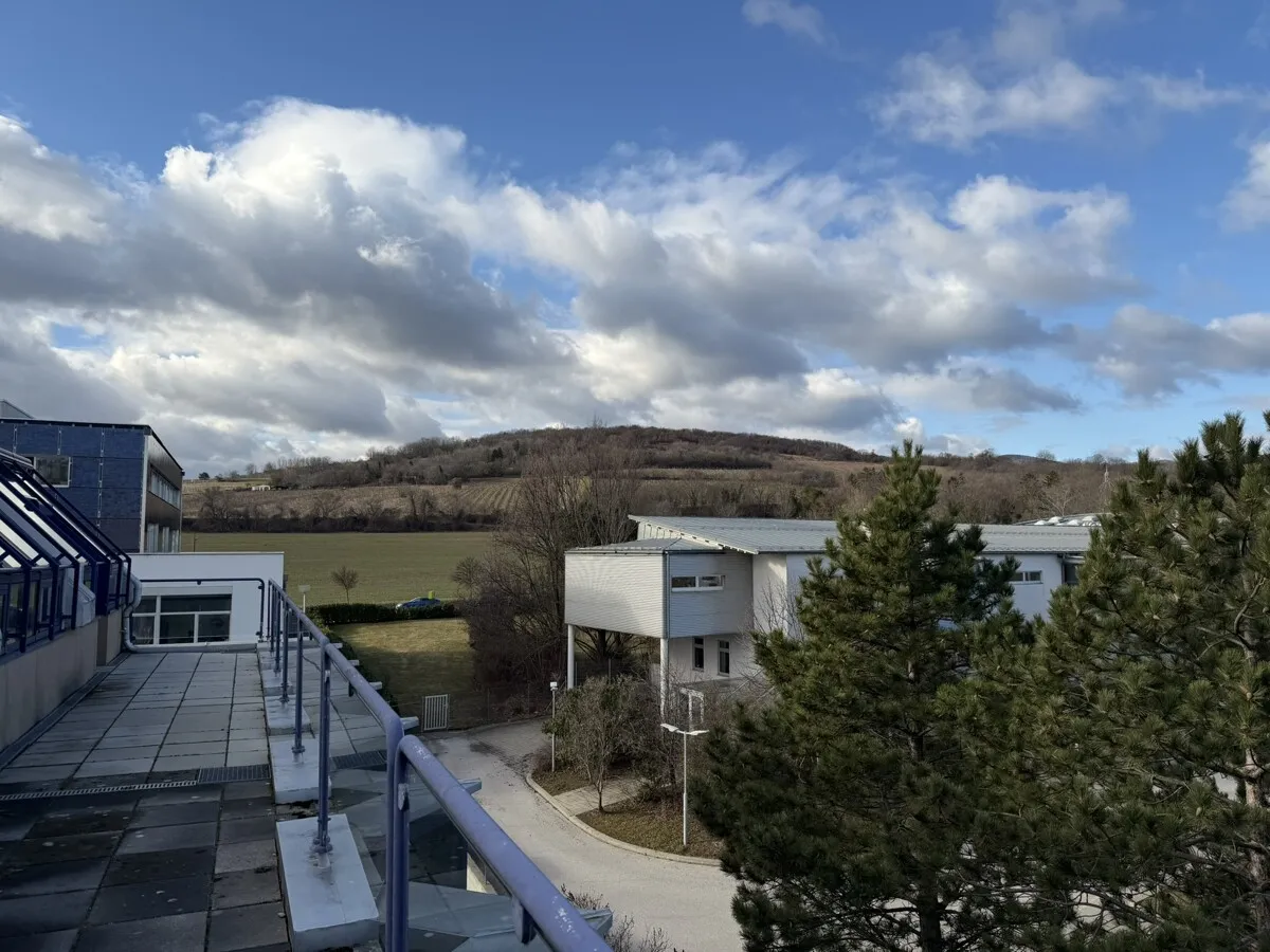 Repräsentatives Büro- und Gewerbeobjekt im Bezirk Mödling – pohled 2