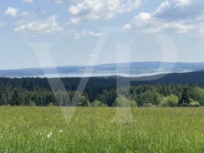 8-Zimmer-Gewerbeimmobilie kaufen in Rohrbach – 330 m², € 518.000 – Bild 28 von 28