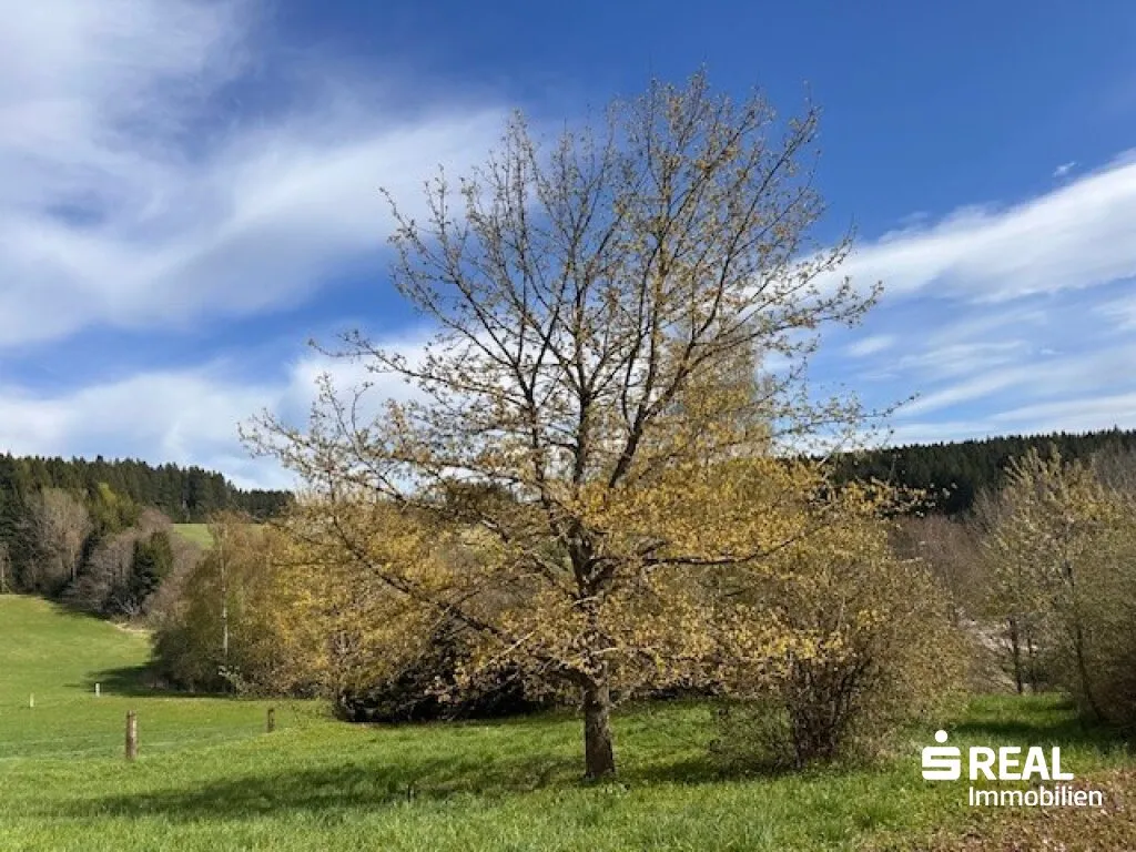 Bauparzellen in 4202 Hellmonsödt - Widok 2