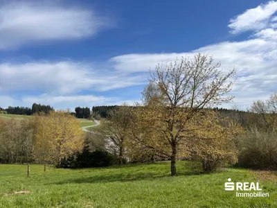 Grundstück kaufen in Urfahr-Umgebung – 1 176 m², € 210.000 – Bild 10 von 12