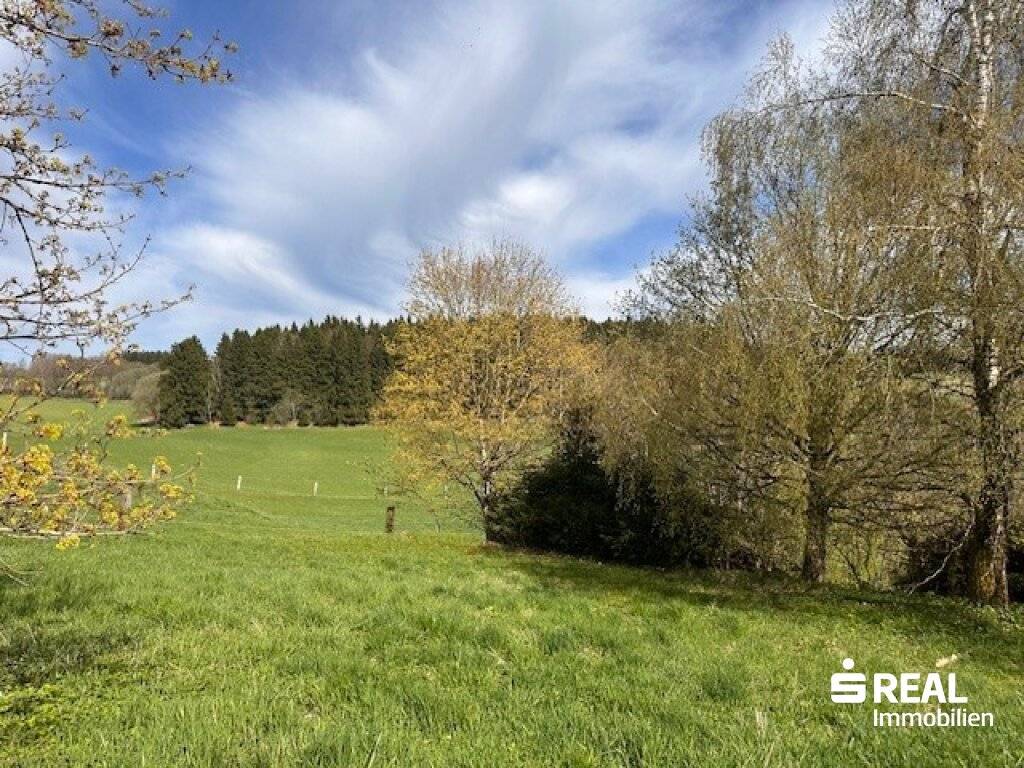 Bauparzellen in 4202 Hellmonsödt - Widok 3