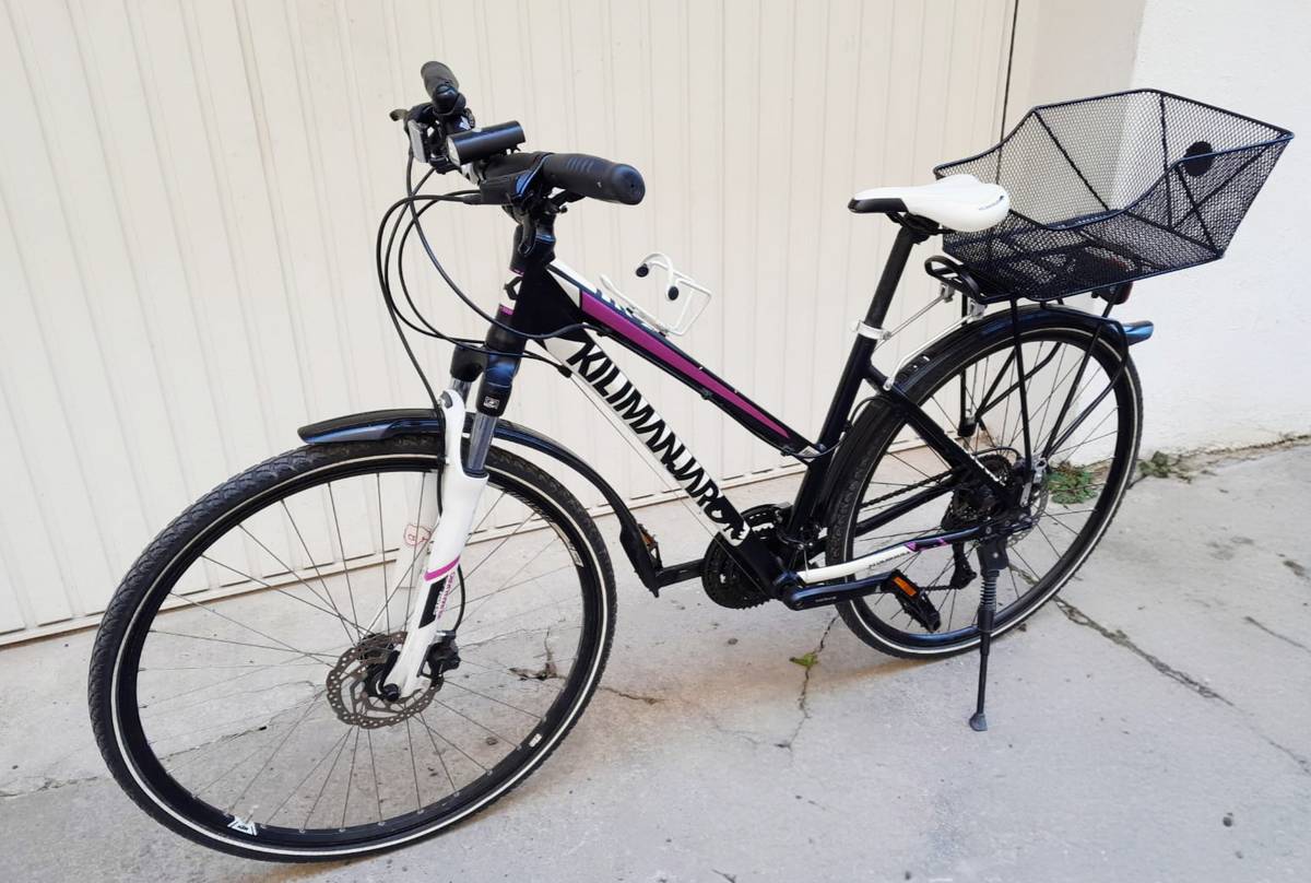 Damenfahrrad mit praktischen Korb und Tektro Scheibenbremsen hydraulisch,   219,- (8020 Graz) - willhaben
