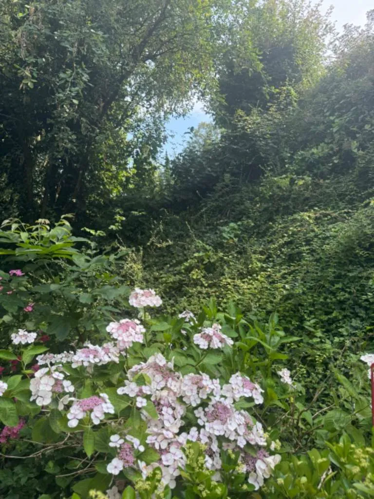 Froschberg, Froschberg, Froschberg - beste Lage und Gartenidylle mit Tiefgarage & Hobbyraum inklusive - Ansicht 2