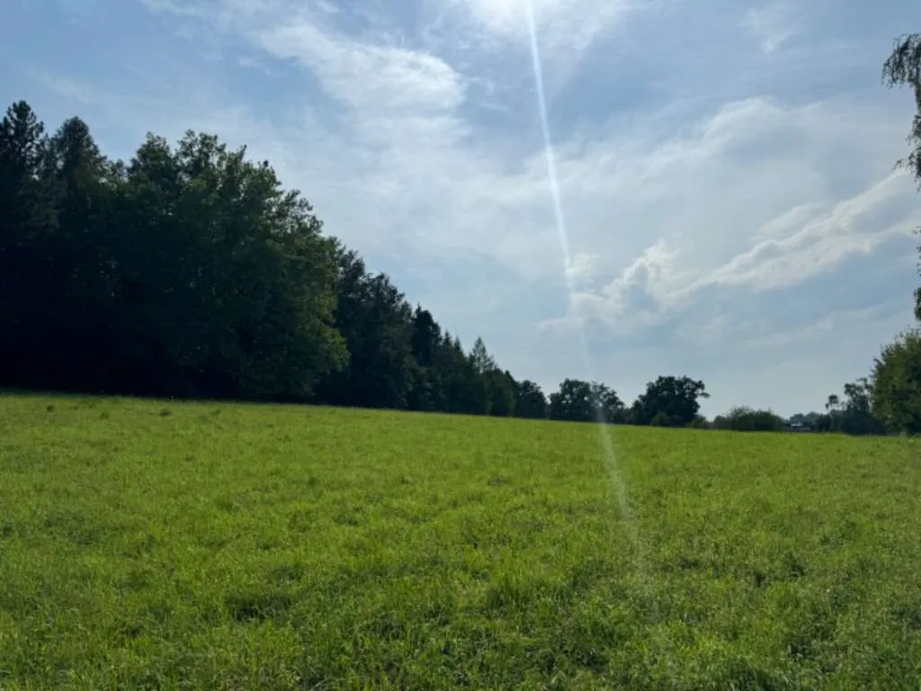Froschberg, Froschberg, Froschberg - beste Lage und Gartenidylle mit Tiefgarage & Hobbyraum inklusive - Ansicht 3