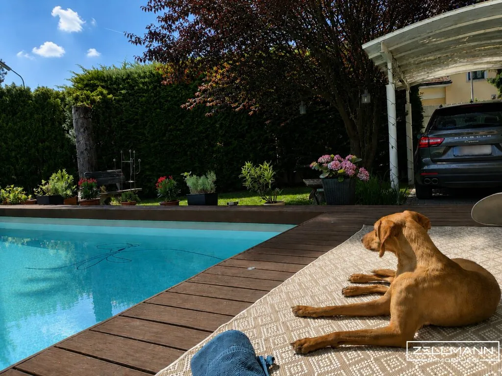 Stilvolles Wohnen in Mauer mit Pool, großzügiger Terrasse und privatem Gartenambiente | ZELLMANN IMMOBILIEN - Ansicht 3
