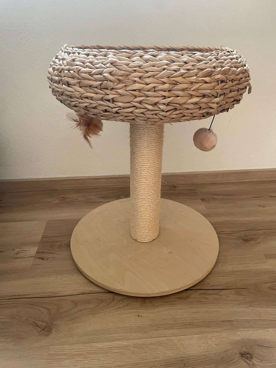Kratzbaum,  20,- (5431 Kuchl) - willhaben