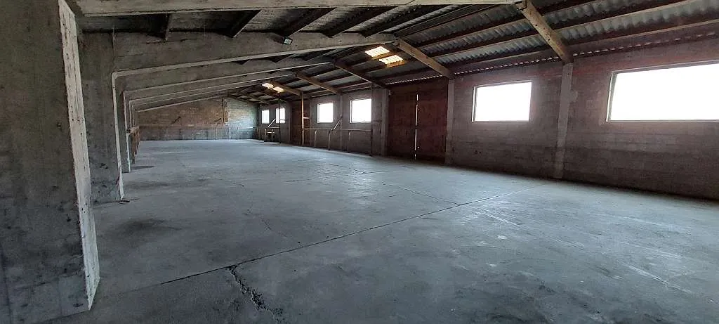 Lagerhalle, provisionsfrei - Ansicht 3
