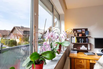 5-Zimmer-Wohnung kaufen in Salzburg-Umgebung – 294 m², € 460.000 – Bild 7 von 21