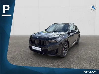 BMW X1 xDrive25e