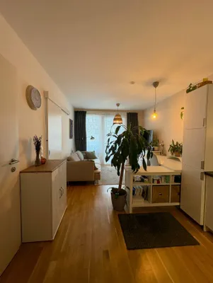 Ab 1.11. - Kaisermühlen: Kompakte, moderne, 1-1/2-Zimmer-Singlewohnung mit ca. 6m² straßenseitiger Loggia