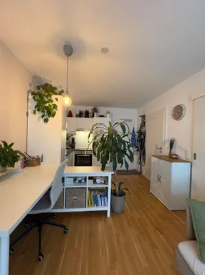 Ab 1.11. - Kaisermühlen: Kompakte, moderne, 1-1/2-Zimmer-Singlewohnung mit ca. 6m² straßenseitiger Loggia – Bild 2