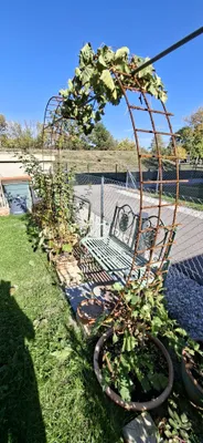 2-Zimmer-Wohnung mieten in Wiener Neustadt – 57 m², € 860 – Bild 15 von 15