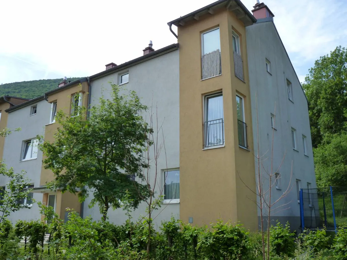 Apartment in Altenmarkt an der Triesting, Bezirk Baden - Ansicht 2
