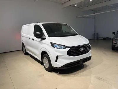Ford Transit Custom Kasten 2,0 EcoBlue L1H1 280 Trend Transporter / Kastenwagen