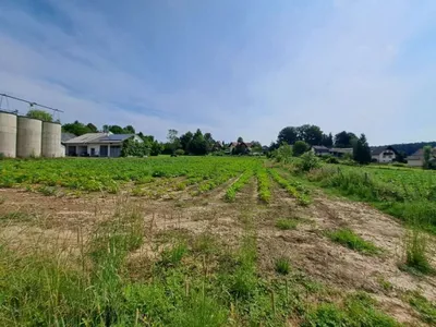 7-Zimmer-Haus kaufen in Voitsberg – 232 m², € 1.380.000 – Bild 21 von 25
