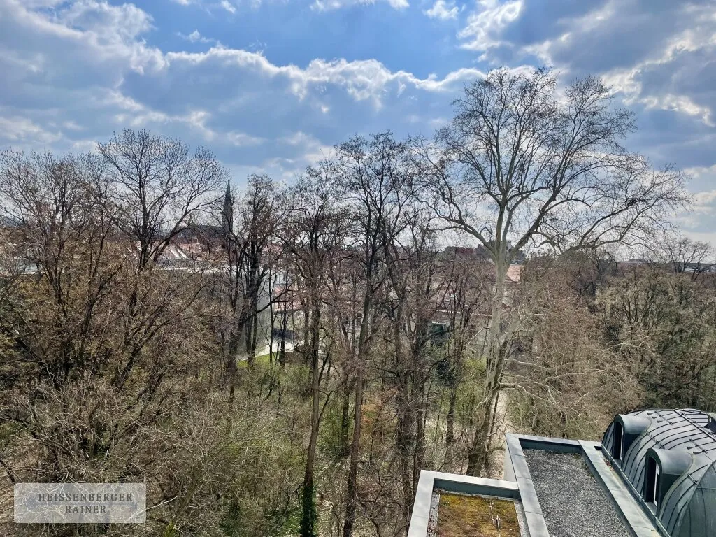 Helle 5-Zimmerwohnung mit Parkblick! | WG - Tauglich - Ansicht 2
