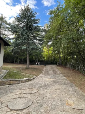 4-Zimmer-Haus mieten in Wiener Neustadt Land – 250 m², € 1.570 – Bild 4 von 32