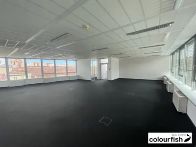 Gewerbeimmobilie mieten in Wien – 566 m², € 12.961 – Bild 3 von 10