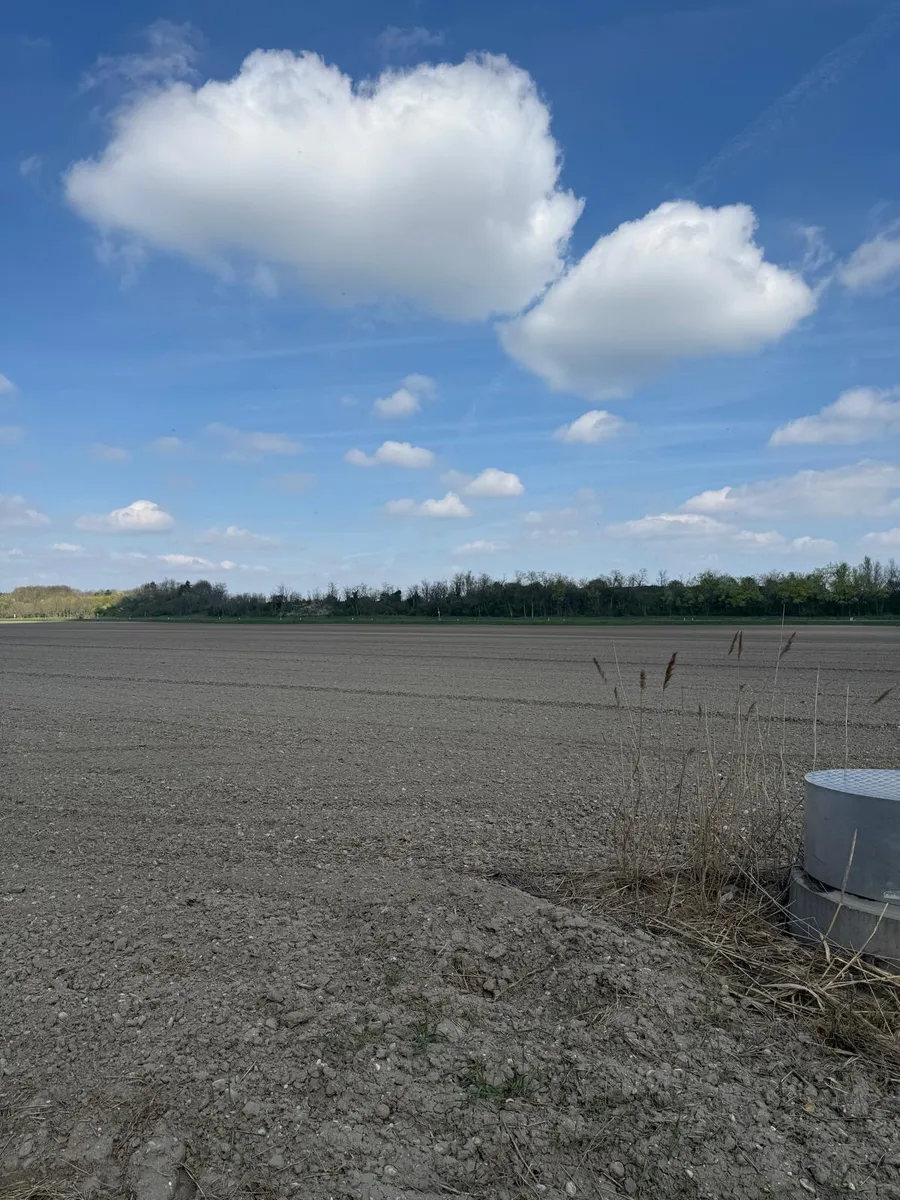 PROVISIONSFREI - beste Ackerfläche in Tiefer Lage im Marchfeld zu verkaufen - Ansicht 2