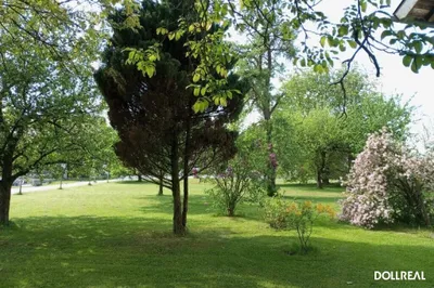 Grundstück kaufen in Salzburg-Umgebung – 635 m², € 225.000 – Bild 2 von 3