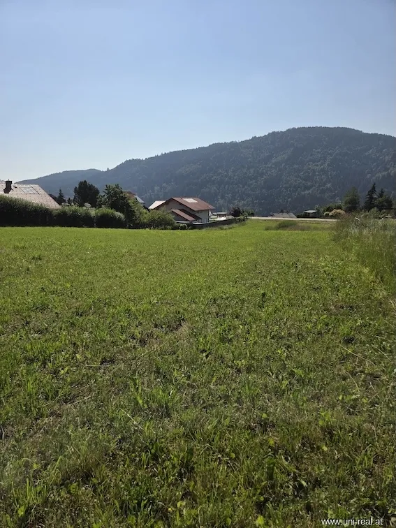 - UNI-Real - Baugrund mit Panoramablick in St. Nikolai - Ansicht 2