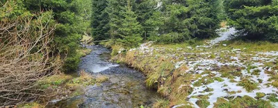 Grundstück kaufen in Sankt Veit an der Glan – 1 889 m² – Bild 4 von 9