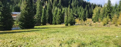 Grundstück kaufen in Sankt Veit an der Glan – 1 889 m² – Bild 6 von 9