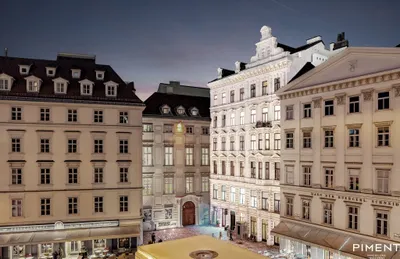 7-Zimmer-Wohnung kaufen in Wien – 369 m², € 8.250.000 – Bild 8 von 15