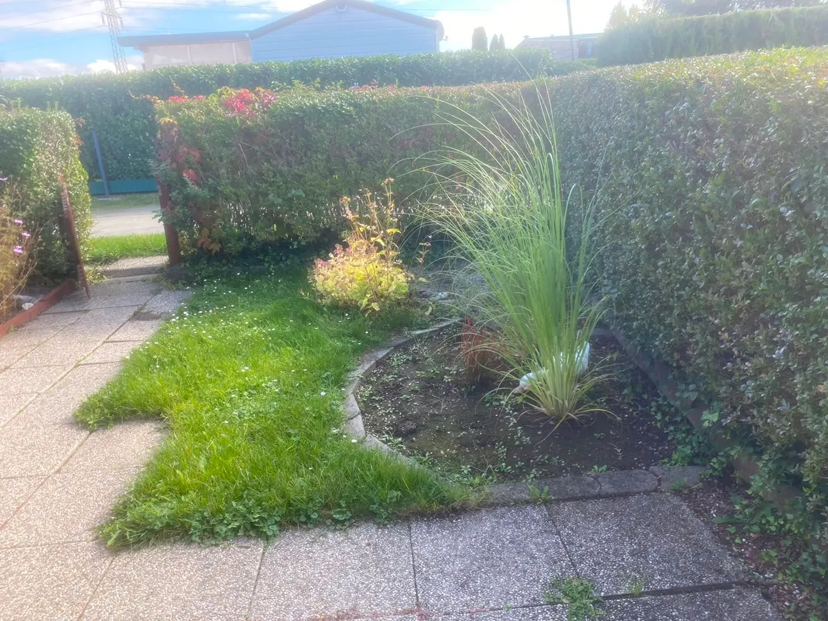 Wohnung – Purbach am Neusiedler See - Ansicht 2