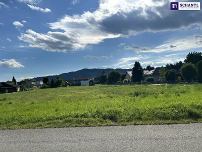 Grundstück kaufen in Leibnitz – 4 221 m², € 1.325.000 – Bild 3 von 11