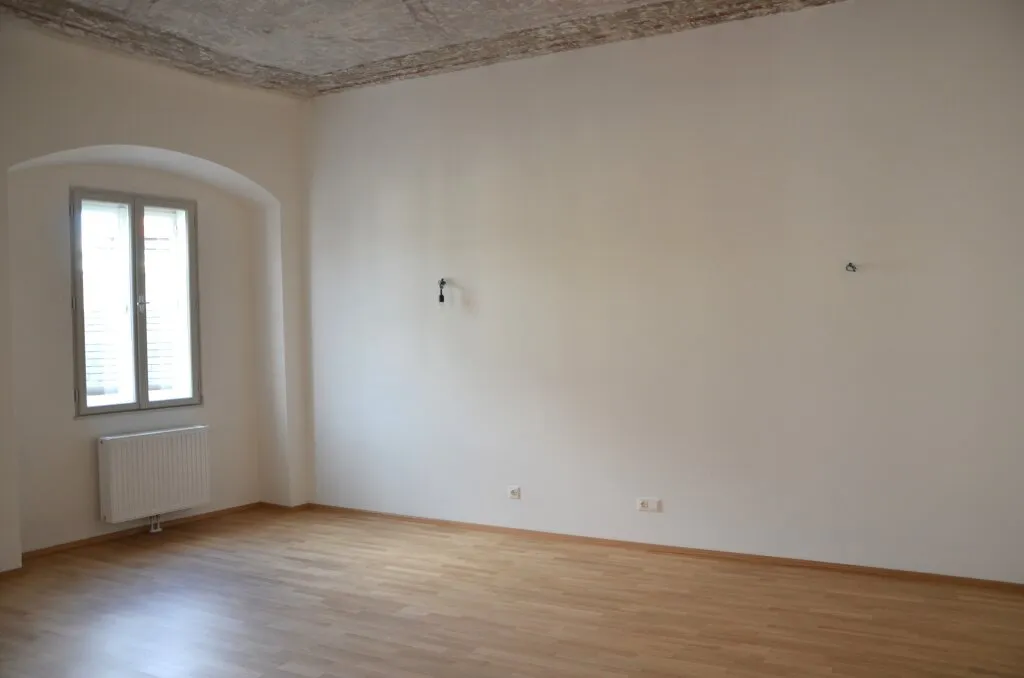 Altbauflair pur in Mautern an der Donau ! *1-Zimmer-Wohnung* - Ansicht 3