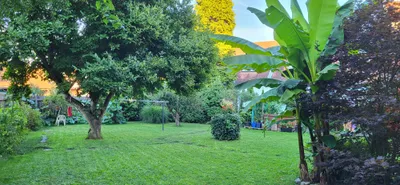 Grundstück kaufen in Voitsberg – 731 m² – Bild 6 von 10