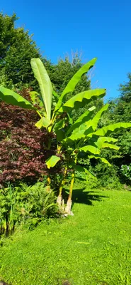 Grundstück kaufen in Voitsberg – 731 m² – Bild 9 von 10